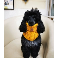 Mustard Flecks Roll Top Dog Snood