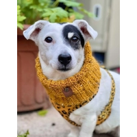 Patchwork Roll Top Dog Snood