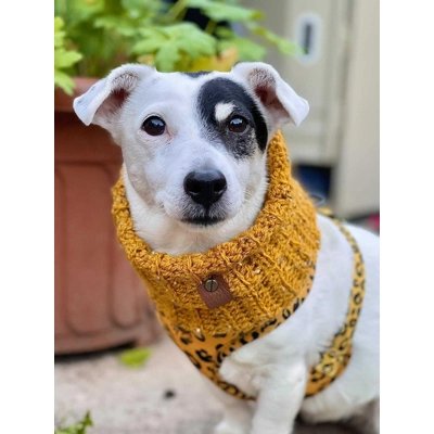 Mustard Flecks Roll Top Dog Snood