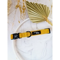 Mustard Yellow Cord DOG COLLAR