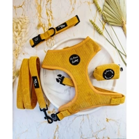 Mustard Yellow Cord DOG COLLAR