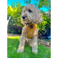 Mustard Yellow Cord DOG HARNESS
