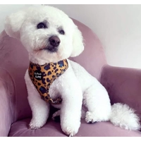 MUSTARD YELLOW & TEAL LEOPARD DOG HARNESS