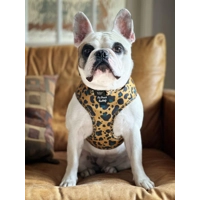 MUSTARD YELLOW & TEAL LEOPARD DOG HARNESS