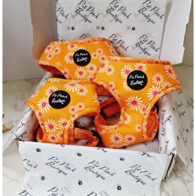 ORANGE DAISIES DOG HARN..