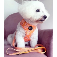 ORANGE DAISIES DOG HARNESS