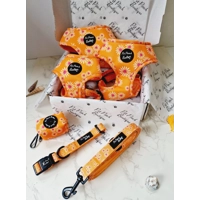 ORANGE DAISIES DOG HARNESS