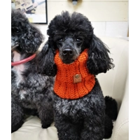 Pumpkin Orange Roll Top Dog Snood