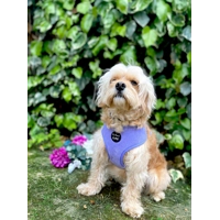 Pastel Purple Cord DOG HARNESS