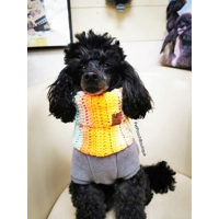 Patchwork Roll Top Dog Snood