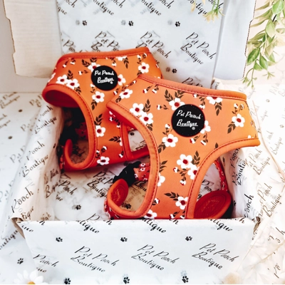 PEACH & IVY BLOSSOM DOG HARNESS
