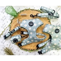 Pretty Little Pastel Green Daisies Dog Harness