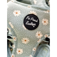 Pretty Little Pastel Green Daisies Dog Harness