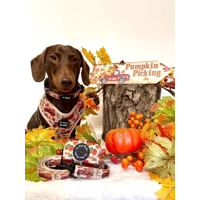 PUMPKIN PATCH CART Lead - Reversible