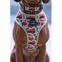 PUMPKIN PATCH CART Dog Collar