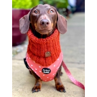 Pumpkin Orange Roll Top Dog Snood
