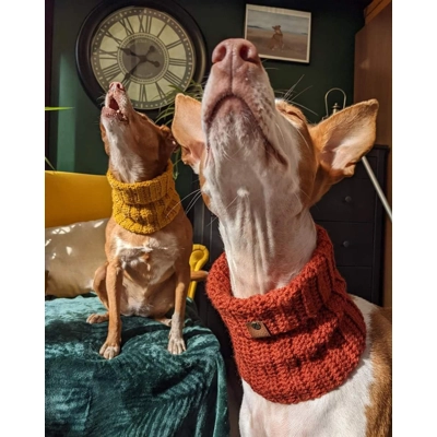 Pumpkin Orange Roll Top Dog Snood