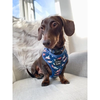 RACING ROCKET SHIPS DOG HARNESS