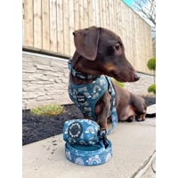 Rainbows In The Forest (Sea Green) Dog Harness