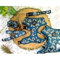 Rainbows In The Forest (Sea Green) Dog Collar