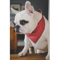 Rich Red Gentleman's Polka Dot Dog Bandana