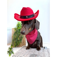 Rich Red Gentleman's Polka Dot Dog Bandana