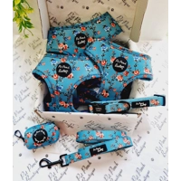 Rosie Rose Cornflower Blue Floral Dog Collar