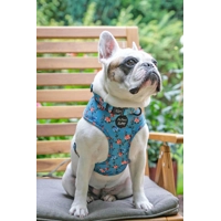 Rosie Rose Cornflower Blue Floral Dog Collar
