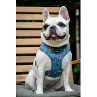 Rosie Rose Cornflower Blue Floral Dog Harness