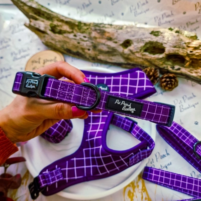 Royal Purple Patch Dog Collar