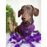 Royal Purple Patch Poo Bag Holder