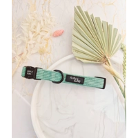 Sage Green Cord DOG COLLAR