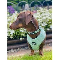 Sage Green Cord DOG HARNESS