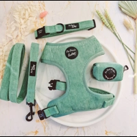 Sage Green Cord DOG HARNESS