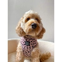 Beige & Black Scruffy Dots Dog Harness