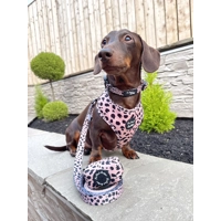 Beige & Black Scruffy Dots Dog Collar