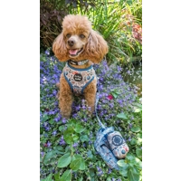 Shipwrecked Poo Bag Holder