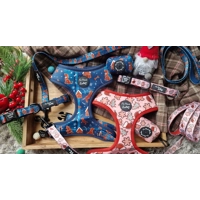 Gingerbread Biscuit Christmas Dog HARNESS