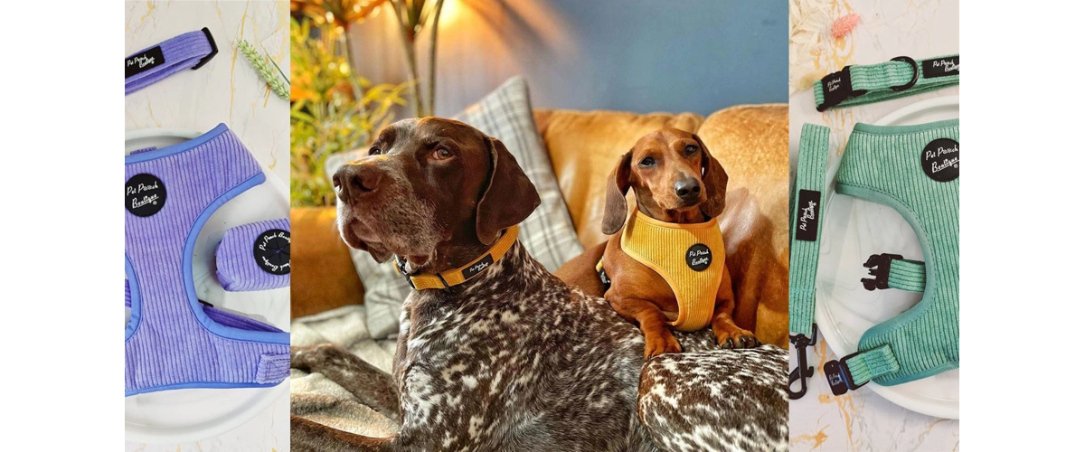 Shop The CORD Collection