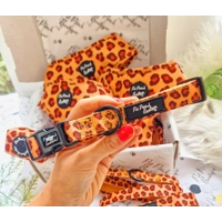 Forest Fir Cone Dog Collar