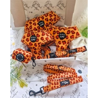 Spiced Honey Leopard Dog Collar