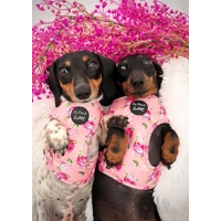 SUNDAY ROSE FLORAL HARNESS