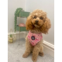 SUNDAY ROSE FLORAL HARNESS