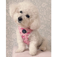 SUNDAY ROSE FLORAL HARNESS