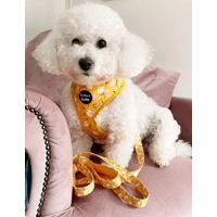 Sunshine Daisy LEAD - REVERSIBLE