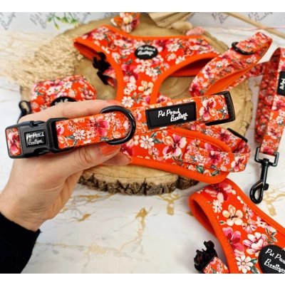 Sweet Marmalade Blossom FLORAL Dog Collar