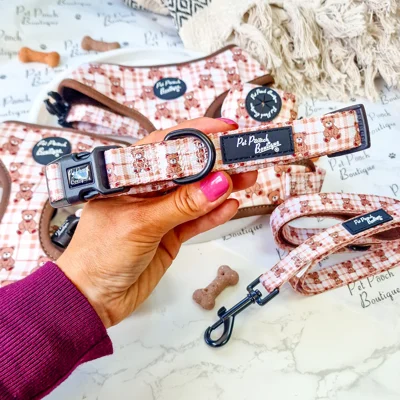 Vintage Bear Gingham Dog Collar