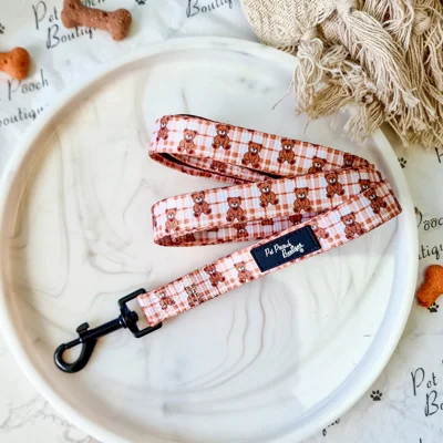 Vintage Bear Gingham Dog Lead - Reversible