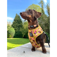 Vintage Yellow Buttercup Peonies HARNESS