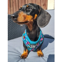 Vintage Clover Green Peonies HARNESS